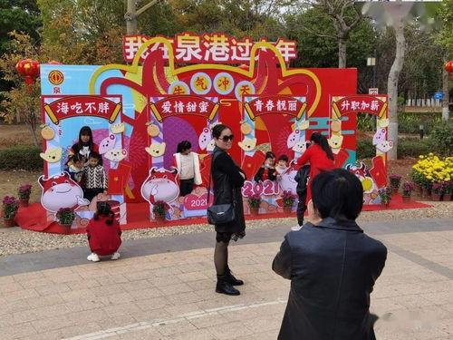 铜梁网红拍照打卡,探寻古韵新潮的拍照秘境